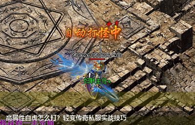 高属性白虎怎么打?轻变传奇私服实战技巧 高属性白虎怎么打?轻变传奇私服实战技巧