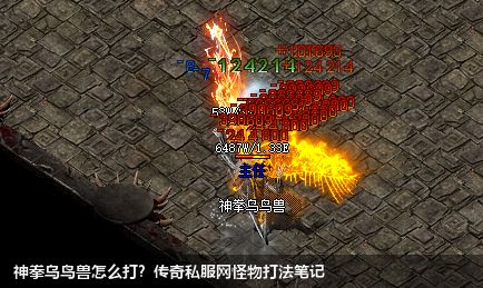 神拳乌鸟兽怎么打？传奇私服网站怪物打法笔记