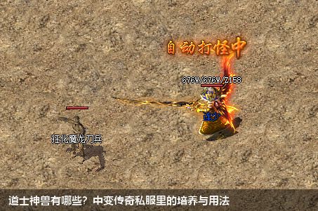 道士神兽有哪些?中变传奇私服里的培养与用法