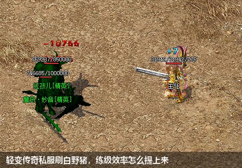 轻变传奇私服刷白野猪，练级效率怎么提上来