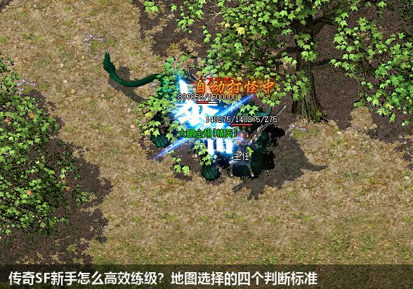 传奇SF新手怎么高效练级？地图选择的四个判断标准