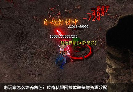 老玩家怎么培养角色？传奇私服网站技能装备与资源分配