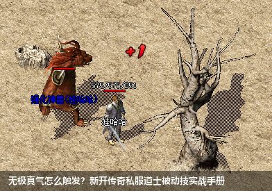 无极真气怎么触发？新开传奇私服道士被动技实战手册