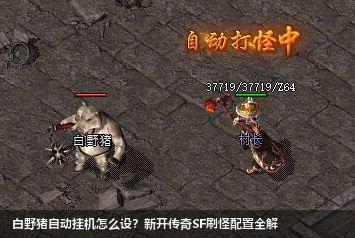 白野猪自动挂机怎么设？新开传奇SF刷怪配置全解