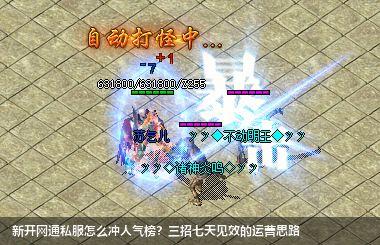 新开网通私服怎么冲人气榜?三招七天见效的运营思路