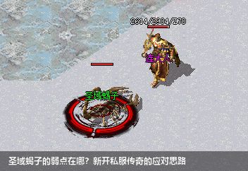 圣域蝎子的弱点在哪？新开传奇私服的应对思路