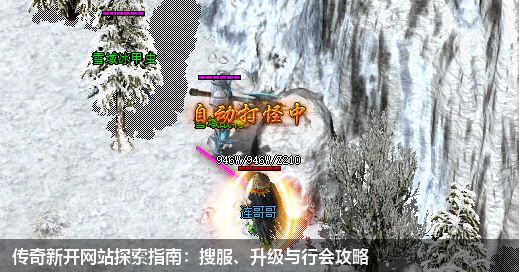 新开传奇私服网站探索指南:搜服、升级与行会攻略