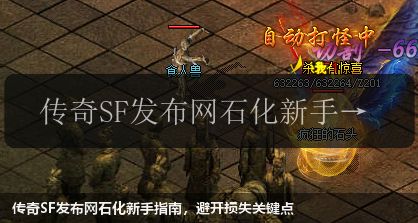 传奇sf网站石化新手指南,避开损失关键点