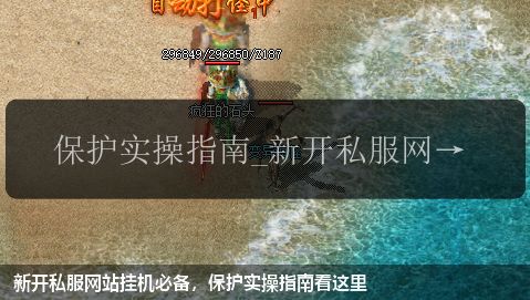 新开私服网站挂机必备,保护实操指南看这里