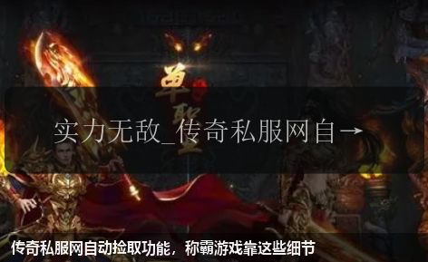 传奇私服网站自动捡取功能,称霸游戏靠这些细节
