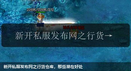 新开私服发布网之行货仓库，那些潜在好处