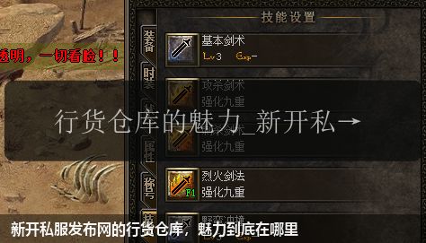 新开私服发布网的行货仓库,魅力到底在哪里