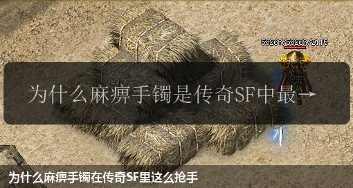 为什么麻痹手镯在传奇SF里这么抢手 为什么麻痹手镯在传奇SF里这么抢手