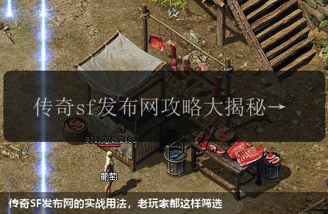 传奇sf网站的实战用法,老玩家都这样筛选