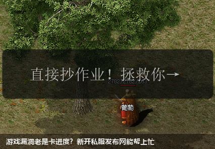 游戏漏洞老是卡进度?新开私服发布网能帮上忙